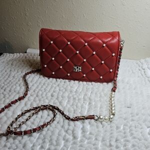Badgley Mischka Purse